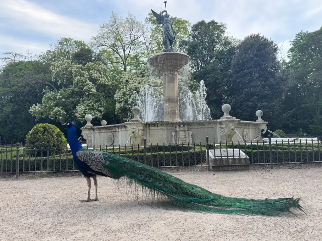 Fuente de Campo Grande Valladolid