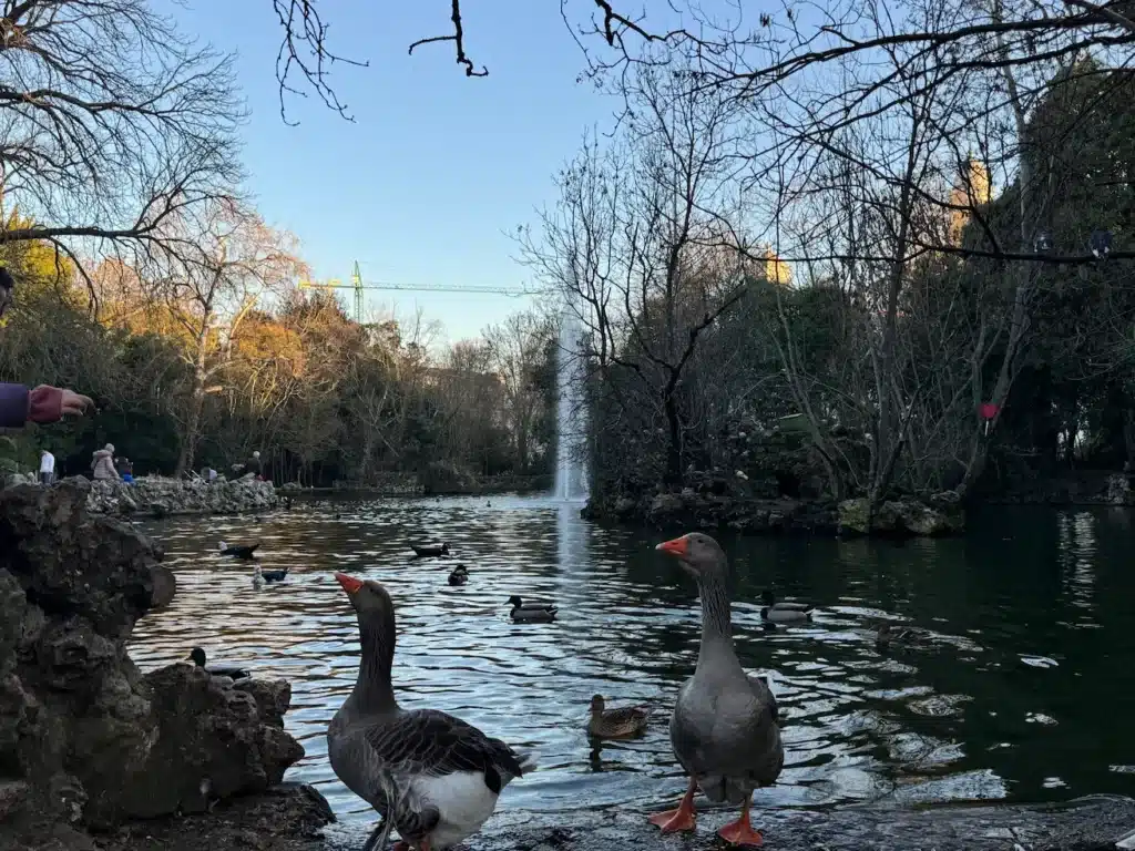 Lago de Campo Grande Valladolid