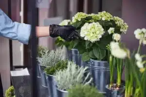 Ramo de flores de temporada de La Señora Flores